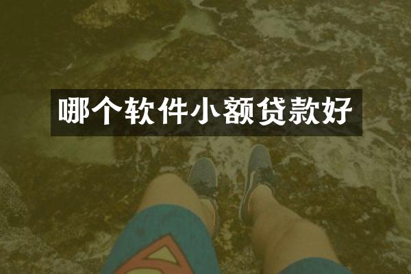 哪个软件小额贷款好