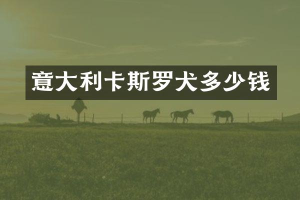 意大利卡斯罗犬多少钱