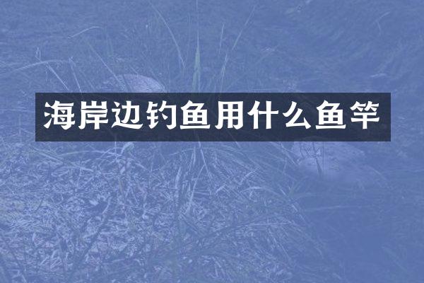 海岸边钓鱼用什么鱼竿