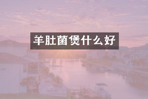 羊肚菌煲什么好