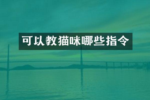 可以教猫咪哪些指令