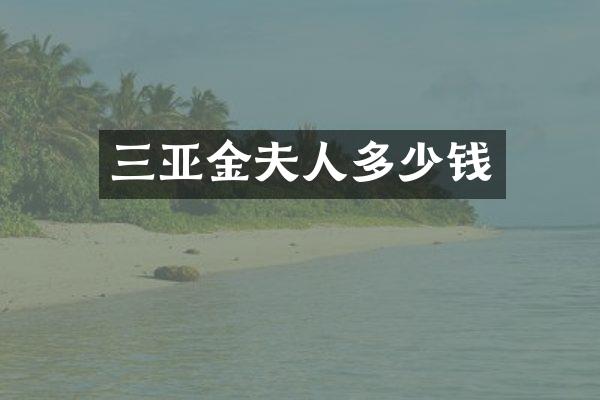 三亚金夫人多少钱