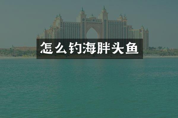 怎么钓海胖头鱼