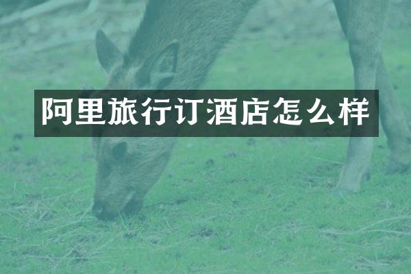 阿里旅行订酒店怎么样