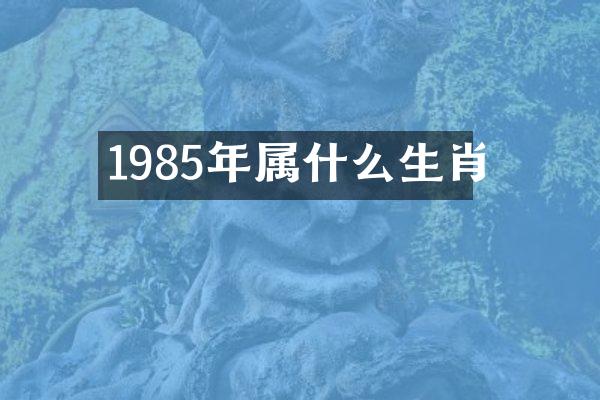 1985年属什么生肖