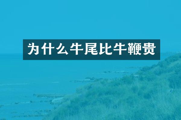 为什么牛尾比牛鞭贵