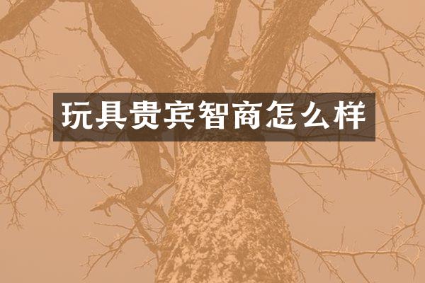 玩具贵宾智商怎么样