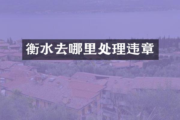 衡水去哪里处理违章