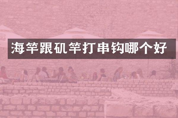 海竿跟矶竿打串钩哪个好