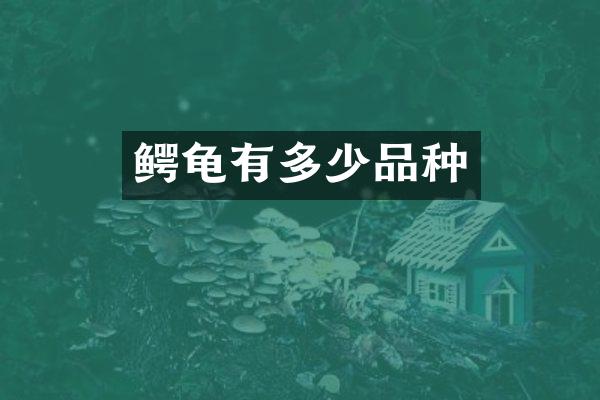 鳄龟有多少品种