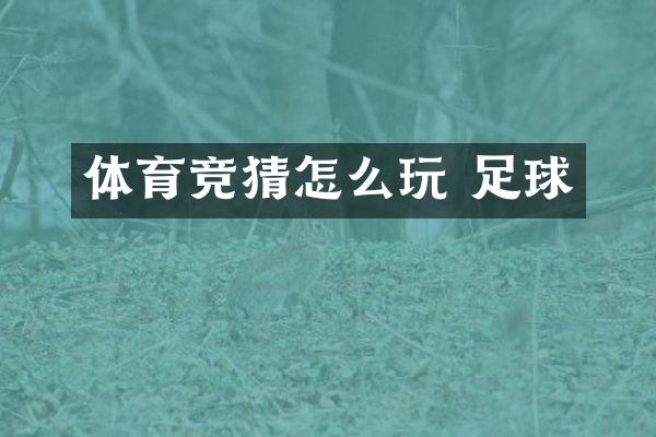 体育竞猜怎么玩 足球