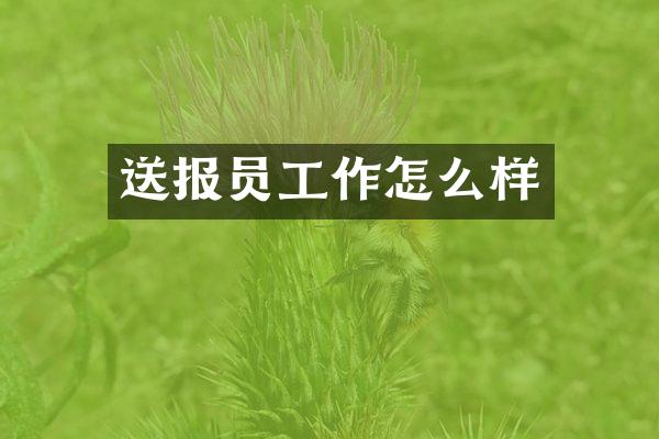 送报员工作怎么样