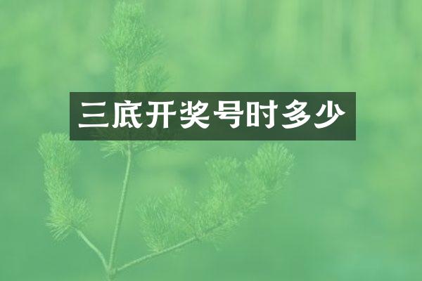 三底开奖号时多少
