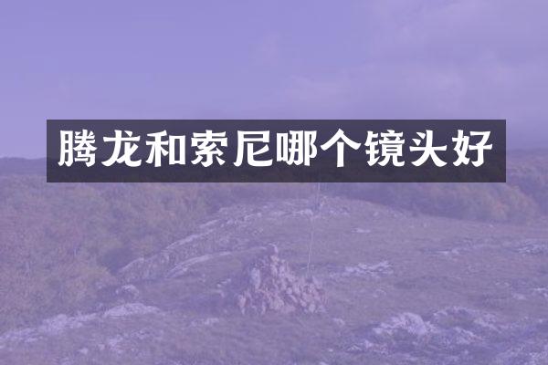 腾龙和索尼哪个镜头好