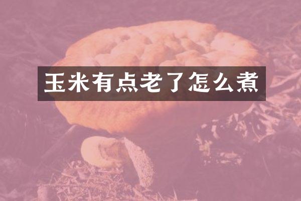 玉米有点老了怎么煮