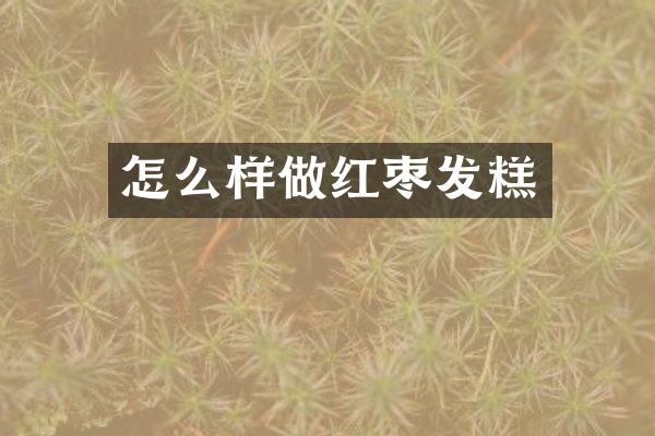 怎么样做红枣发糕