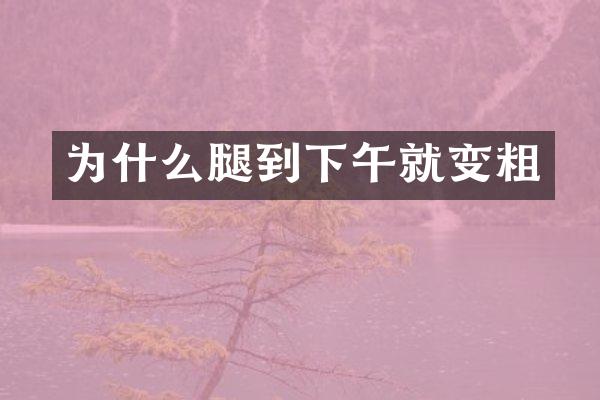 为什么腿到下午就变粗