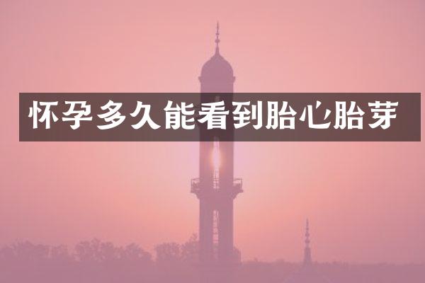 怀孕多久能看到胎心胎芽