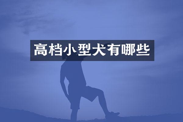 高档小型犬有哪些