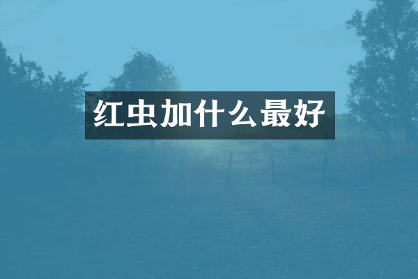 红虫加什么最好