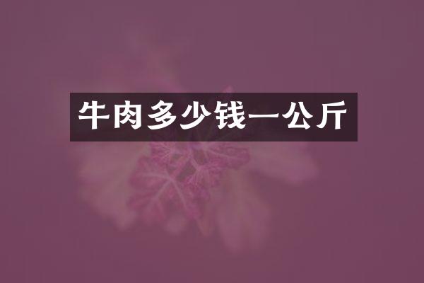 牛肉多少钱一公斤