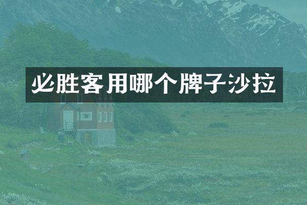 必胜客用哪个牌子沙拉