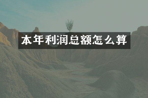 本年利润总额怎么算