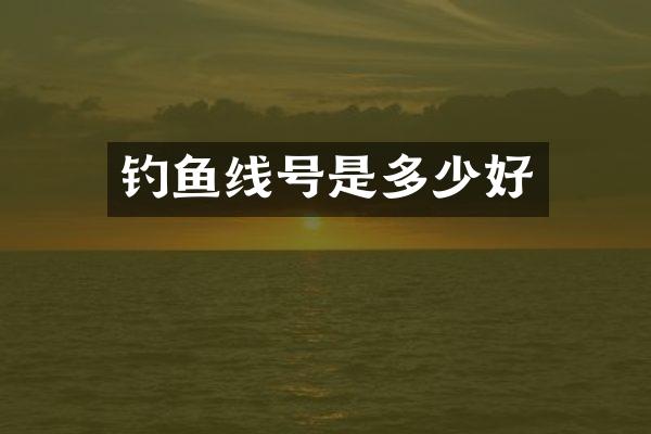 钓鱼线号是多少好