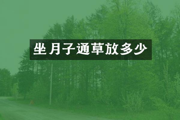 坐月子通草放多少