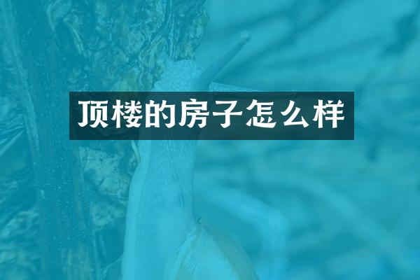 顶楼的房子怎么样