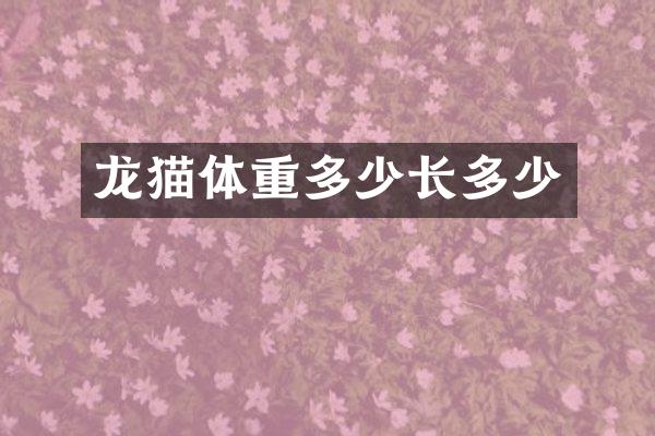 龙猫体重多少长多少