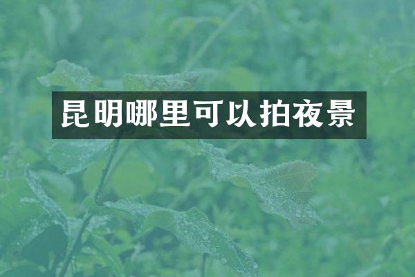 昆明哪里可以拍夜景