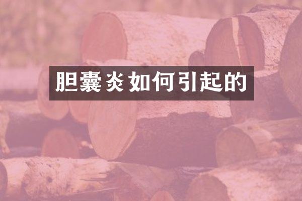 胆囊炎如何引起的