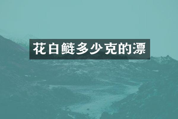 花白鲢多少克的漂