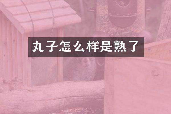 丸子怎么样是熟了