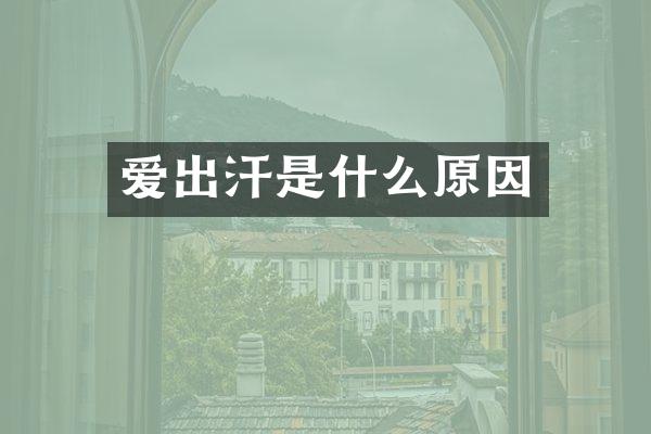 爱出汗是什么原因