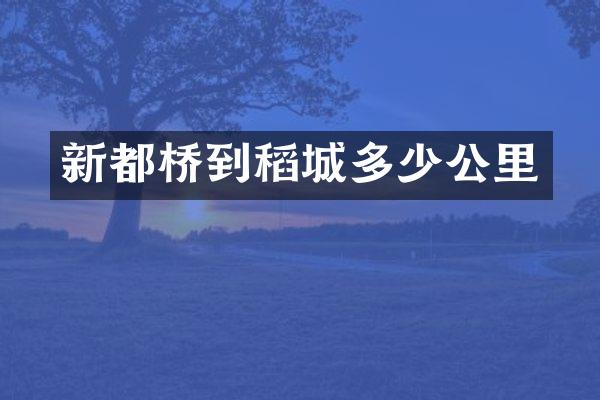 新都桥到稻城多少公里