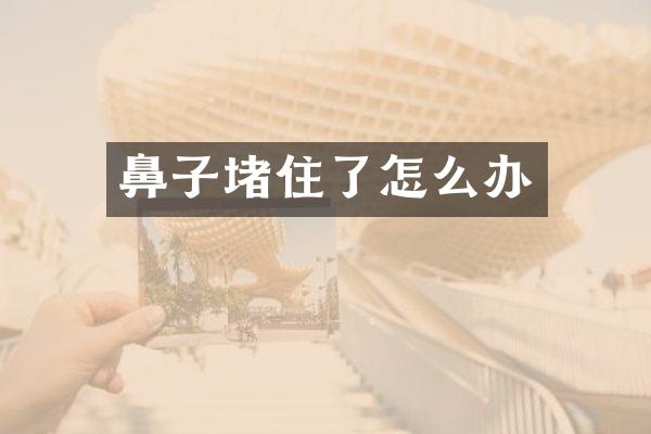 鼻子堵住了怎么办