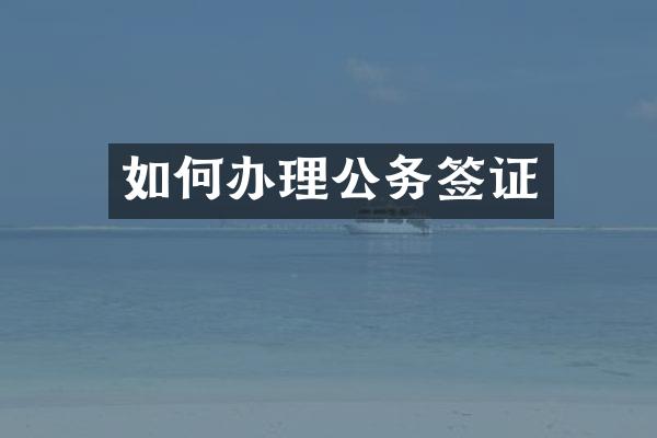 如何办理公务签证