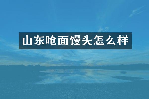 山东呛面馒头怎么样