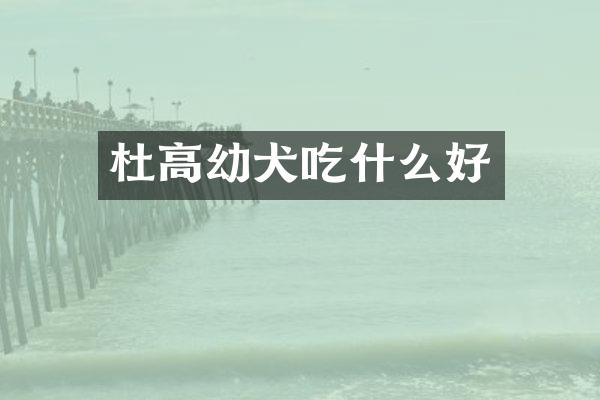 杜高幼犬吃什么好