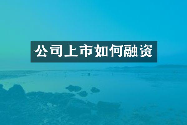 公司上市如何融资