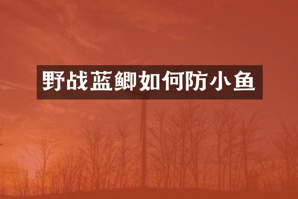 野战蓝鲫如何防小鱼