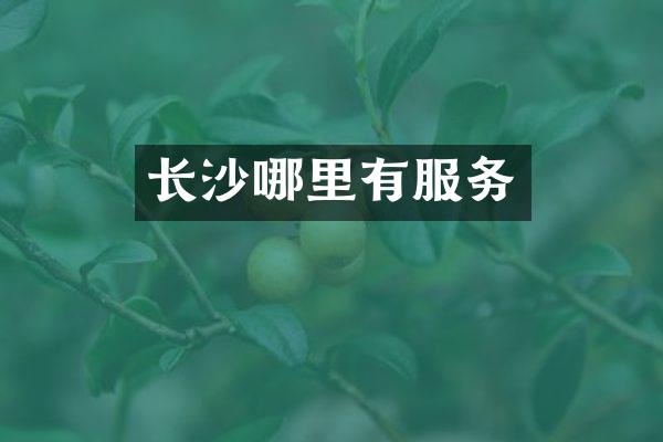 长沙哪里有服务