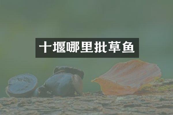 十堰哪里批草鱼