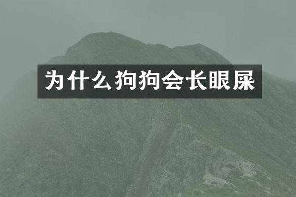 为什么狗狗会长眼屎