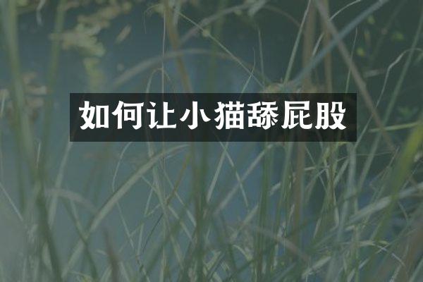 如何让小猫舔屁股