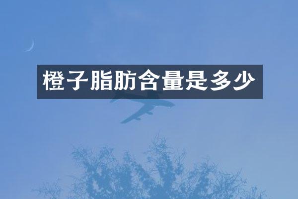 橙子脂肪含量是多少