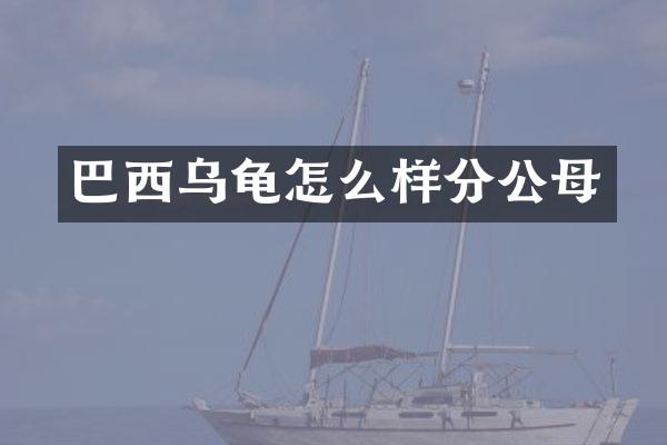 巴西乌龟怎么样分公母