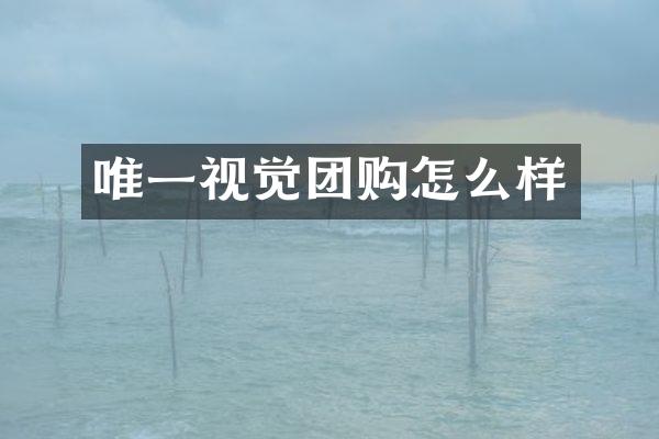 唯一视觉团购怎么样